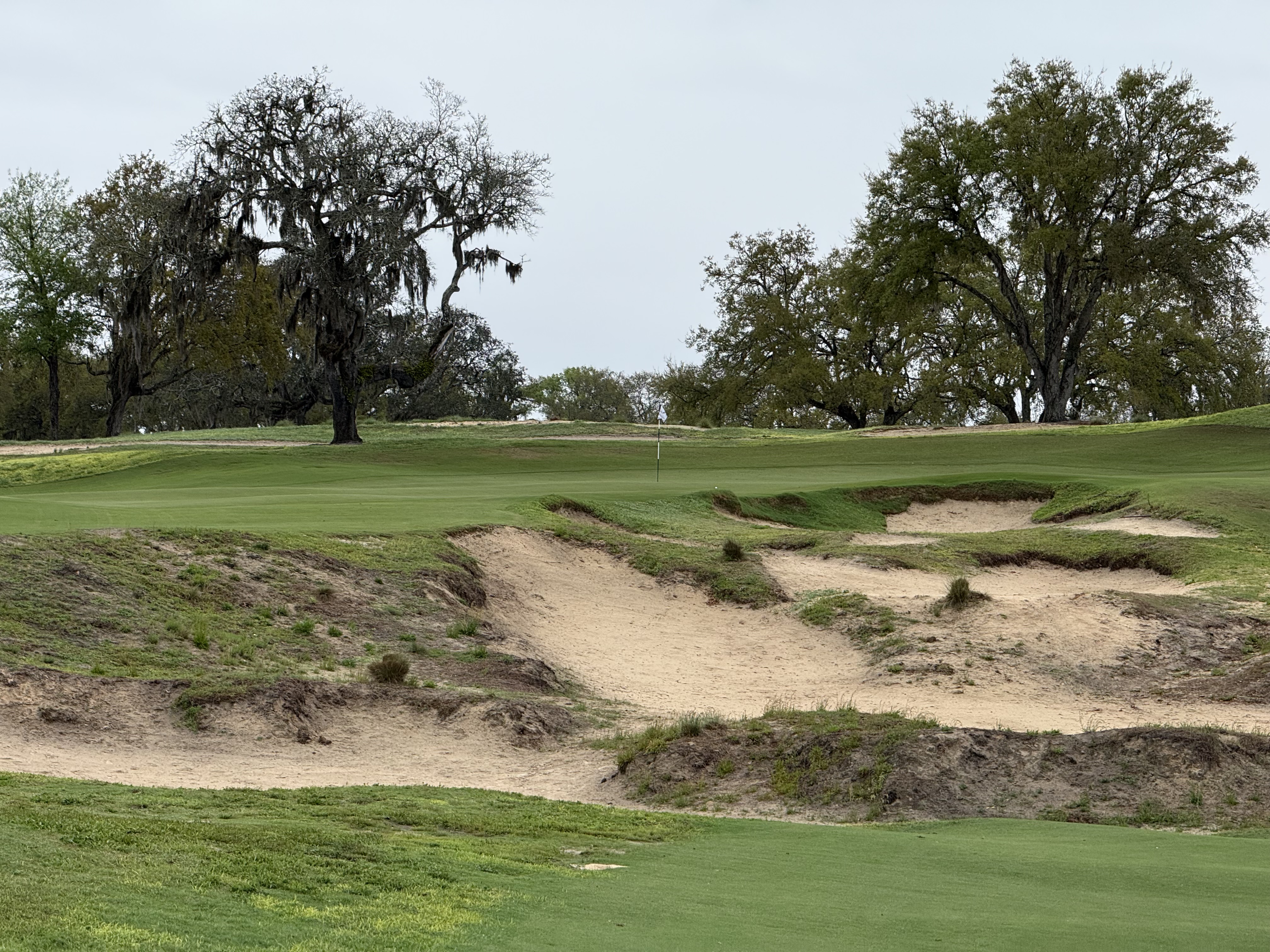 Rugged sandy bunkers below a green framed by moss-draped oaks